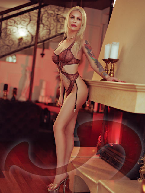 Transsexuelle | Shemales: Bild TS Jasmin in Gro�wilfersdorf