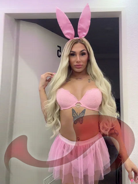 Transsexuelle | Shemales: Bild TS Katie in Wien