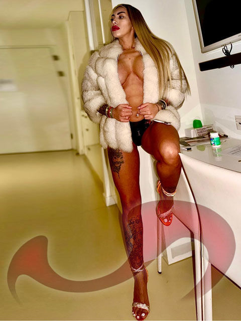 Girls | Models | Callgirls: Bild Maria - NEU in Haid bei Ansfelden