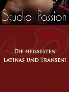 Studio Passion  in Wien  / Wien , Handelskai 208
