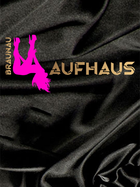 Bild zu Laufhaus Braunau