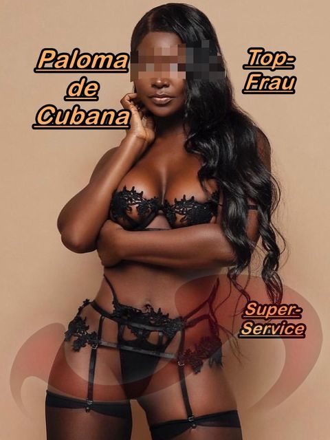 Paloma de Cubana  in Steiermark  / Graz , Triester Straße 394