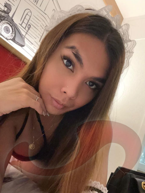  - Transsexuelle | Shemales:  TS Hailey  in Oberösterreich  / Linz ,