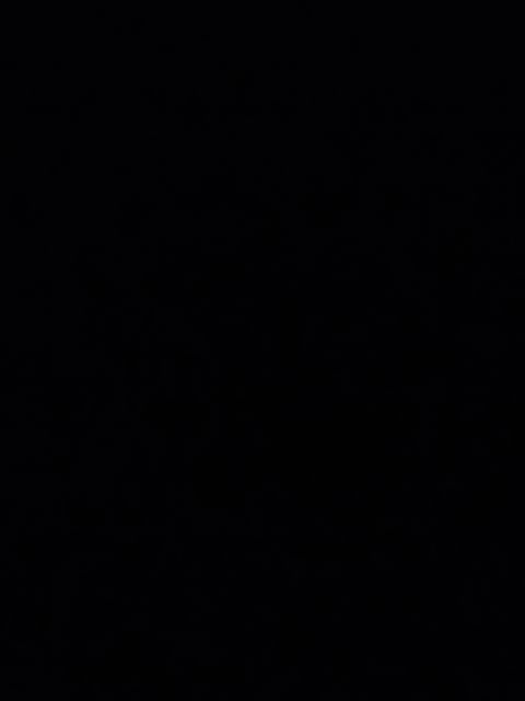 Bild zu Liebesperle Donna