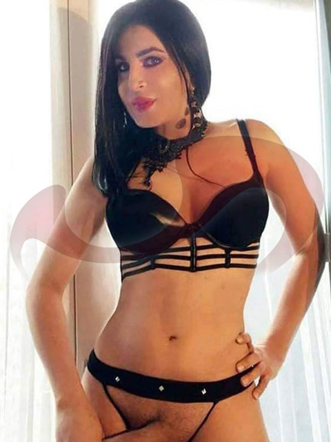  TS Miranda  in Nieder&ouml;sterreich  / Krems , Gewerbeparkstra�e 23a 