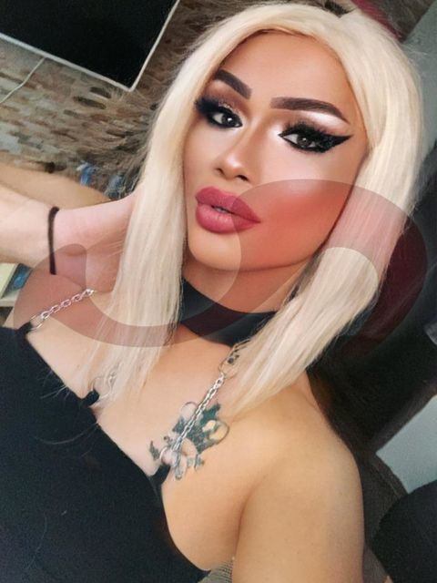  TS Jennifer   in Wien  / Wien  ,