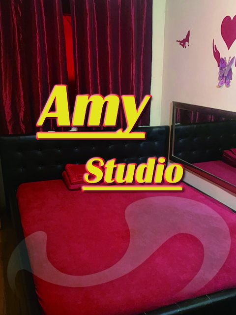 Amy Studio  in Wien  / Wien , Stättermayergasse 31a