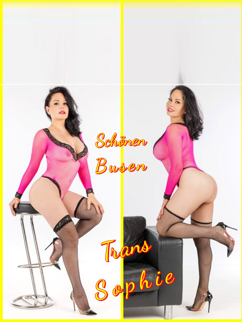 Bild zu TS Sophie