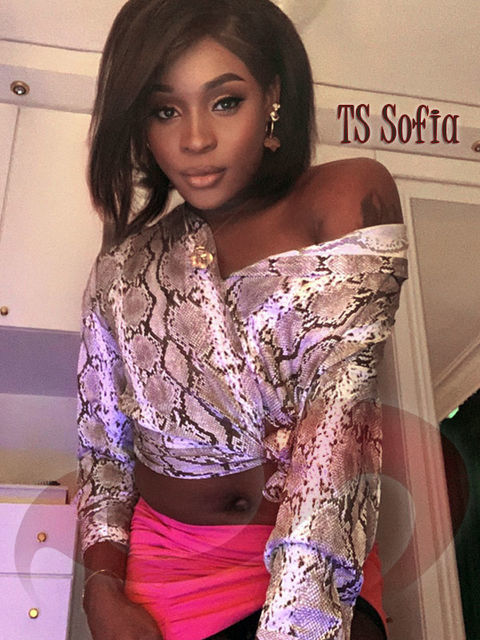- Transsexuelle | Shemales:  TS Sofia  in Wien  / Wien , Max-Winter-Platz 22
