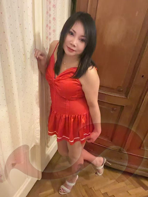 - Asia Girls:  Asia Girl Mimi  in Wien  / Wien , Siebertgasse 18A
