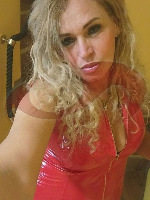  Melinda X  in Nieder&ouml;sterreich  / Krems , Gewerbeparkstra�e 23A 